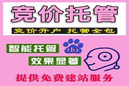 专业百度竞价代运营，助力企业高效获客
